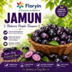 Premium Pakistani Jamun