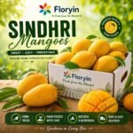 Premium Pakistani Sindhri Mangoes